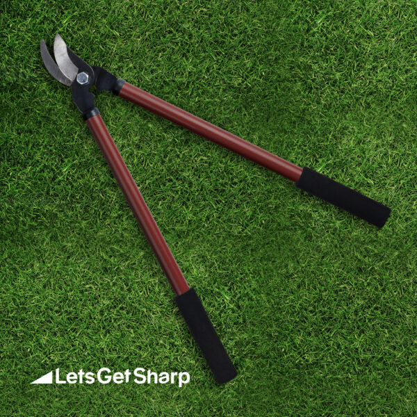A pair of loppers on green grass after being sharpened