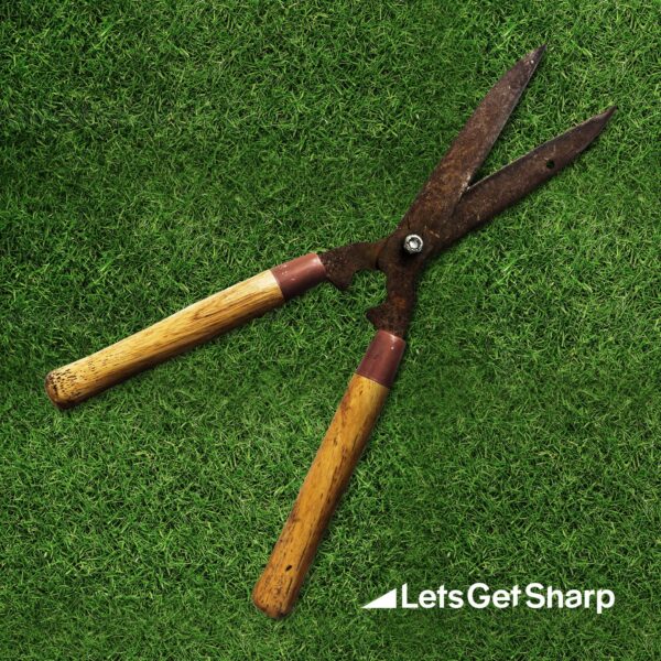 A pair of loppers on green grass after being sharpened